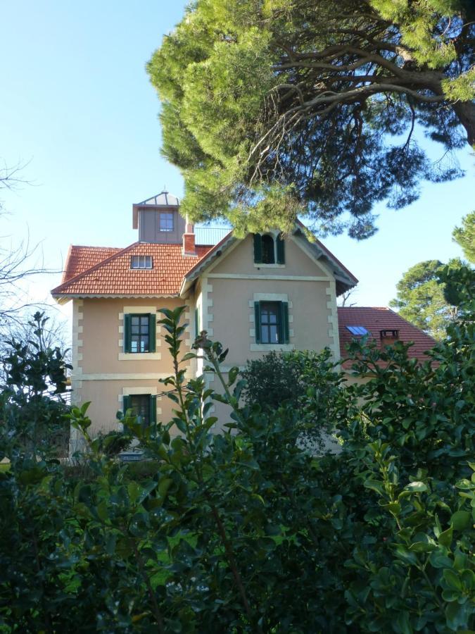 La Maison Du Mole 에그모르트 외부 사진
